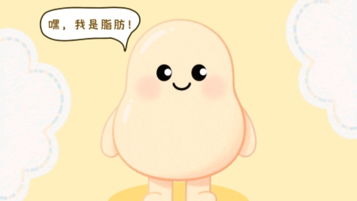 一粒脂肪的旅程