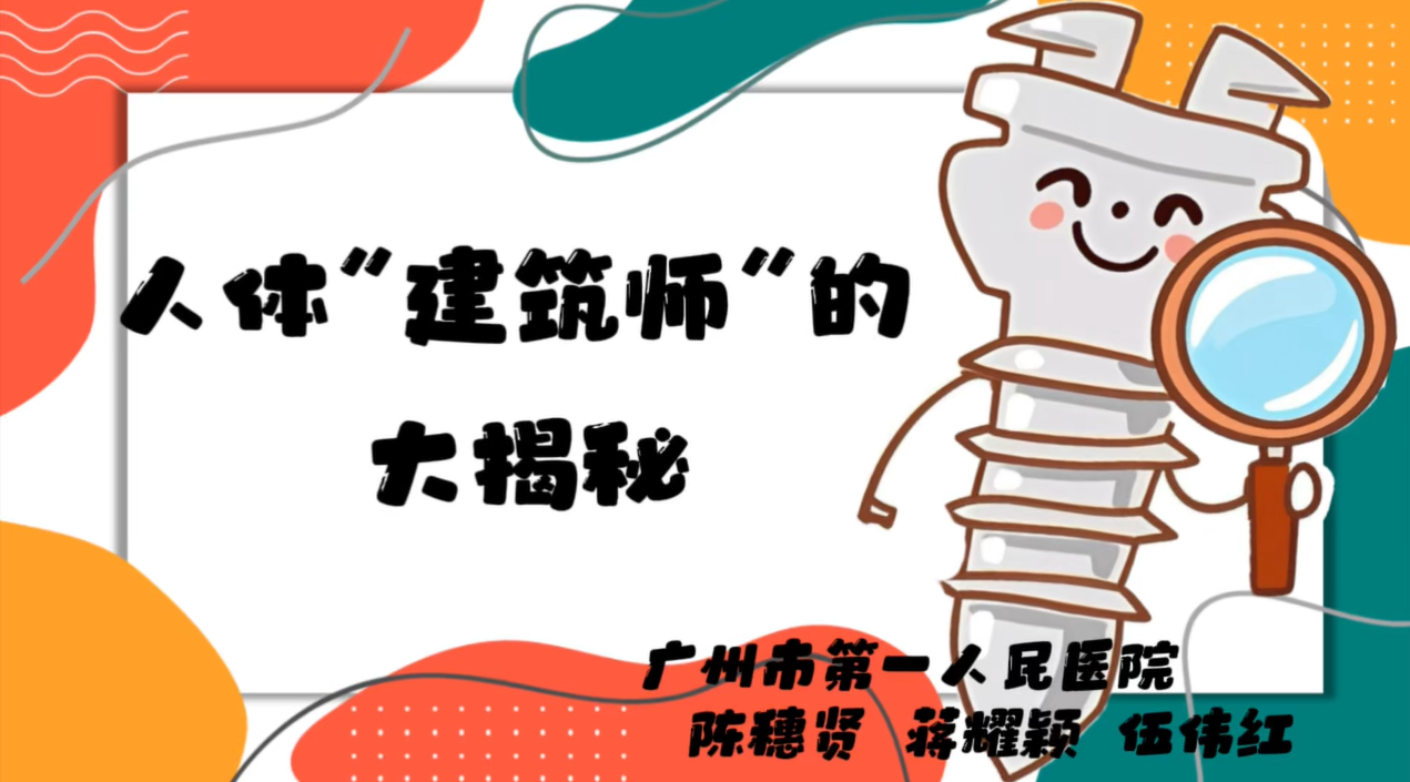 人体“建筑师”的大揭秘