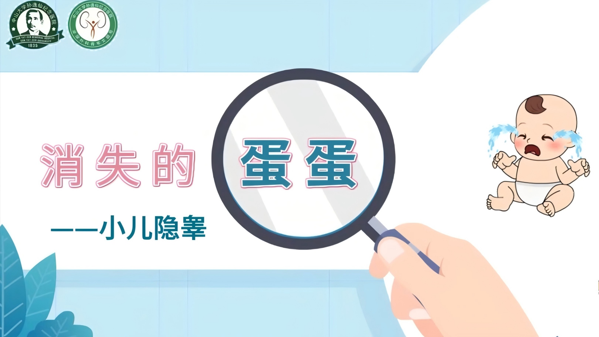 消失的蛋蛋——小儿隐睾