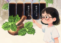 暑天湿邪“找上门”？藿香正气水救场有讲究，选对剂型、避开禁忌才管用！