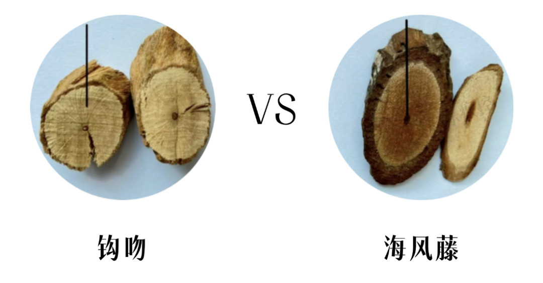 表情包加工 晓婷6.png