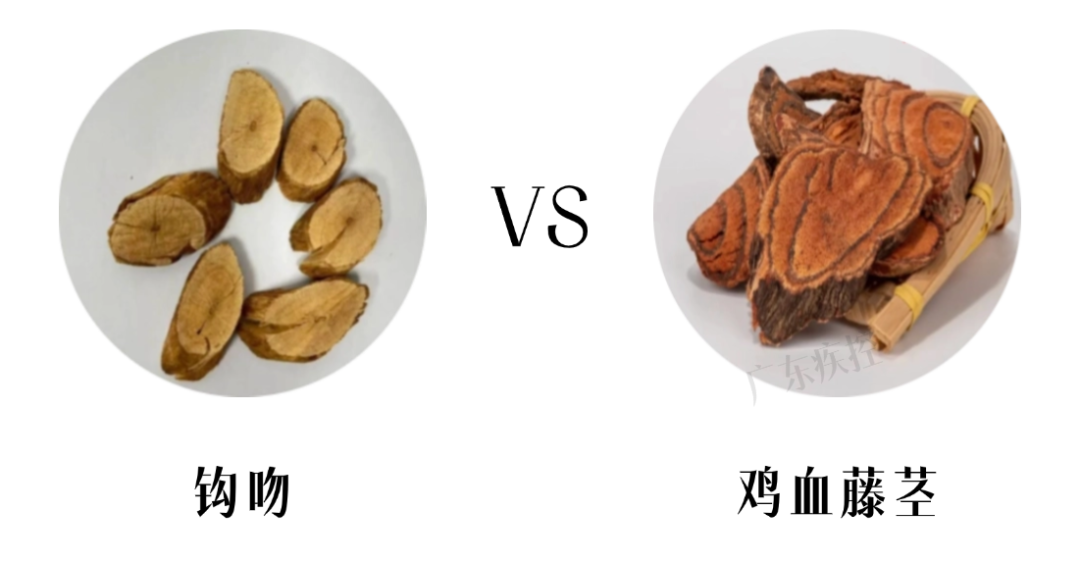 表情包加工 晓婷6 (1).png