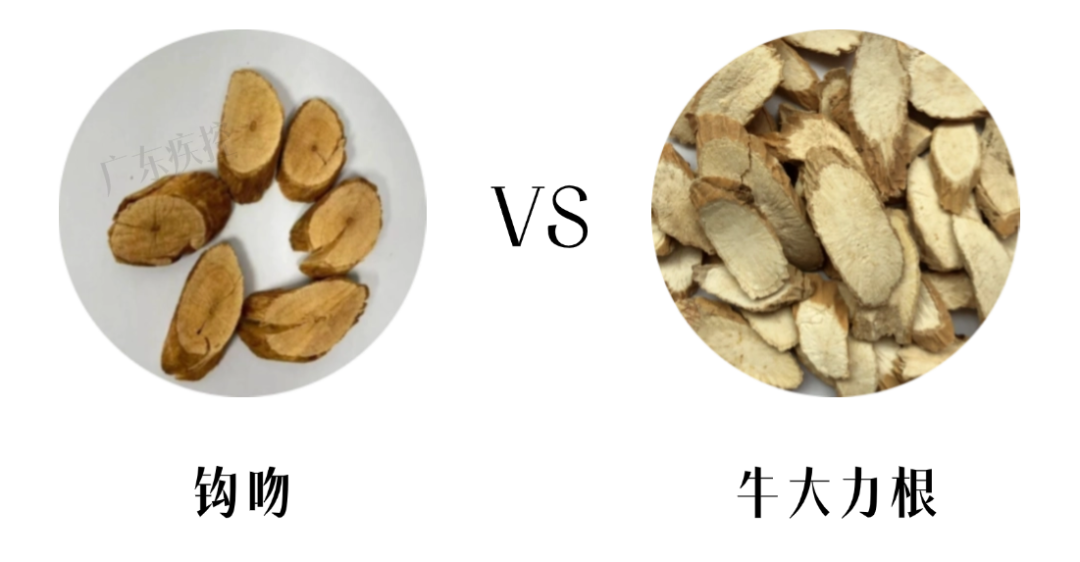 表情包加工 晓婷6 (2).png