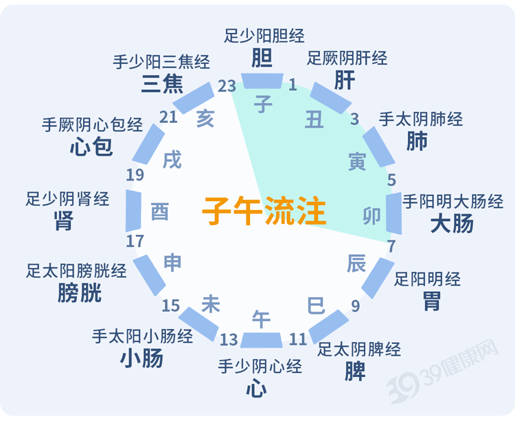 子午流注.png